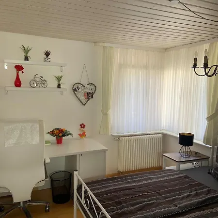 Apartment Sulzbachtal, Naehe Europa-park, Rulantica, Schwarzwald, Feldberg Lahr (Baden-Wurttemberg)