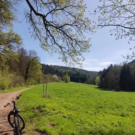 Sulzbachtal, Naehe Europa-park, Rulantica, Schwarzwald, Feldberg Apartamento *