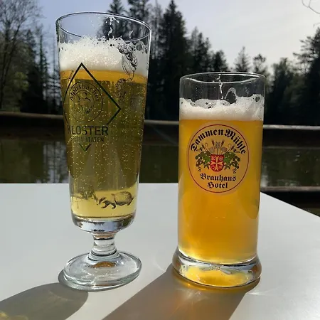 Sulzbachtal, Naehe Europa-park, Rulantica, Schwarzwald, Feldberg Apartment