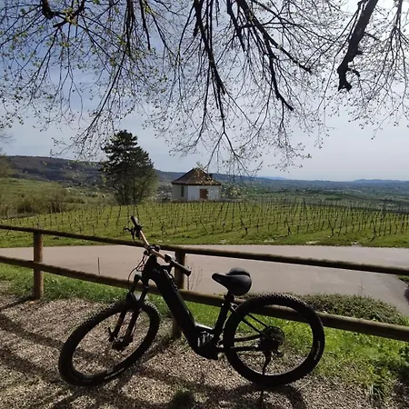 Sulzbachtal, Naehe Europa-park, Rulantica, Schwarzwald, Feldberg Apartament Lahr (Baden-Wurttemberg)