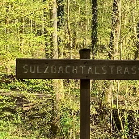 Sulzbachtal, Naehe Europa-park, Rulantica, Schwarzwald, Feldberg