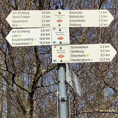 Apartment Sulzbachtal, Naehe Europa-park, Rulantica, Schwarzwald, Feldberg Lahr (Baden-Wurttemberg)