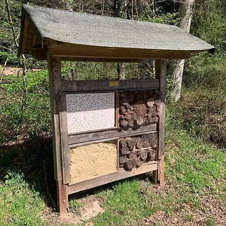 Apartamento Sulzbachtal, Naehe Europa-park, Rulantica, Schwarzwald, Feldberg