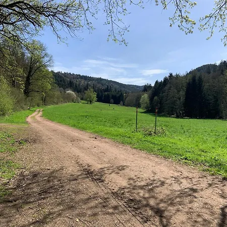 Sulzbachtal, Naehe Europa-park, Rulantica, Schwarzwald, Feldberg Lahr (Baden-Wurttemberg)