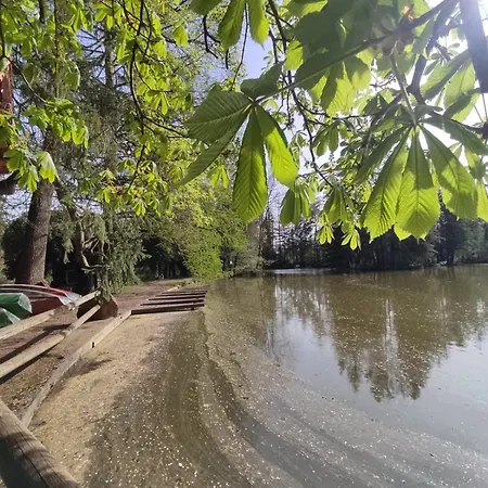 Apartamento Sulzbachtal, Naehe Europa-park, Rulantica, Schwarzwald, Feldberg *