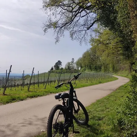 Apartamento Sulzbachtal, Naehe Europa-park, Rulantica, Schwarzwald, Feldberg