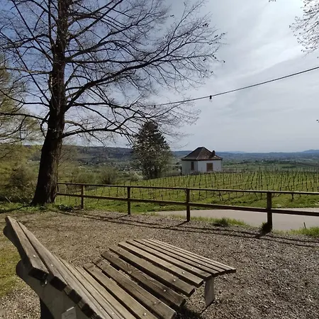Sulzbachtal, Naehe Europa-park, Rulantica, Schwarzwald, Feldberg Apartment