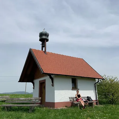 Apartamento Sulzbachtal, Naehe Europa-park, Rulantica, Schwarzwald, Feldberg